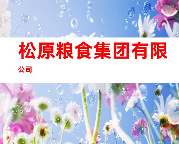 松原粮食集团有限公司